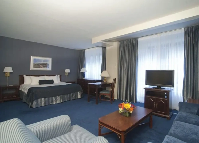 Junior Suite