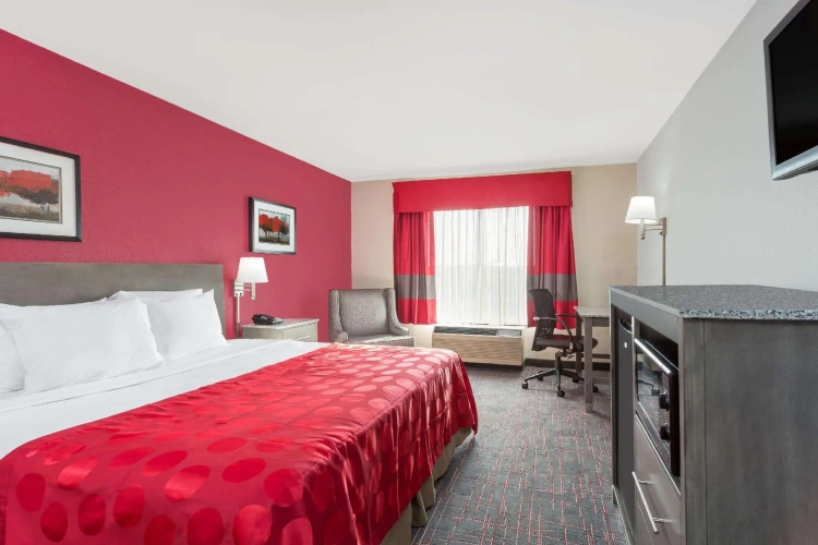 Standard Double room