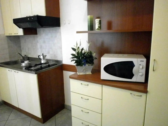 1 Bedroom Apartment with balcony and with view