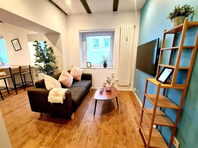 Deluxe Apartment