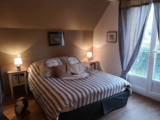 Comfort Double room