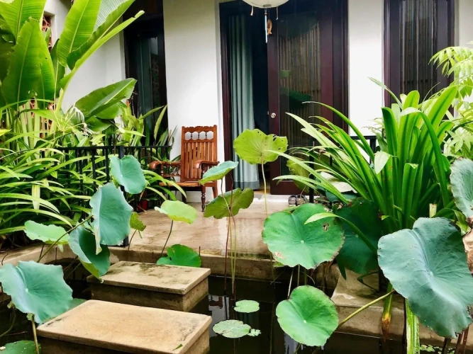 Superior Double room with balcony and with garden view
