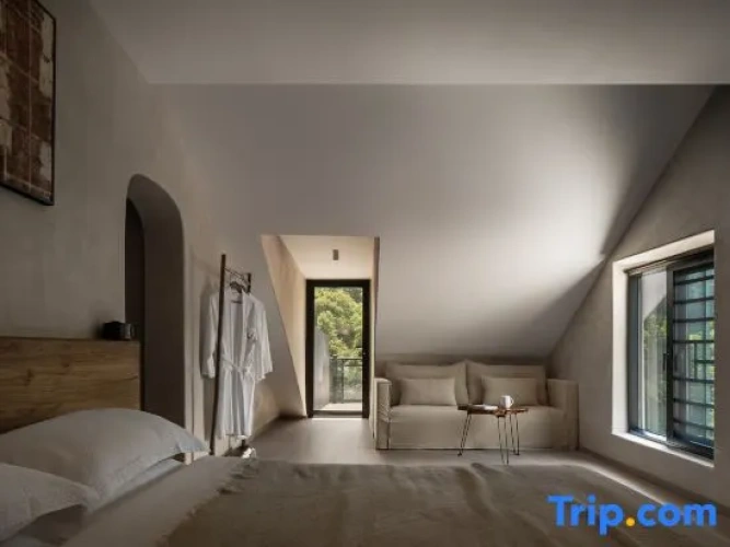 Standard Double room with balcony and with river view
