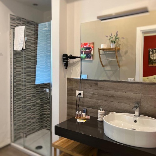 Standard Double room with view