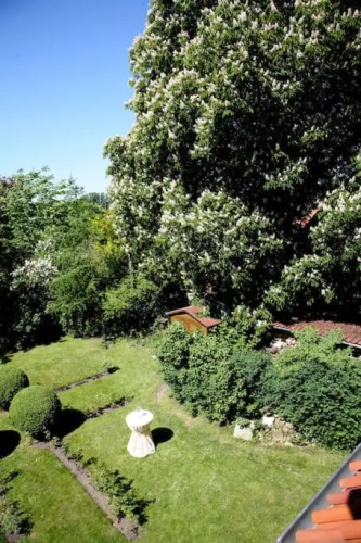 ZI Rosina mit Burggartenblick