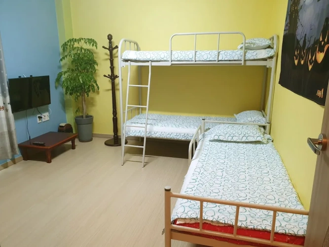Business Twin room with garden view