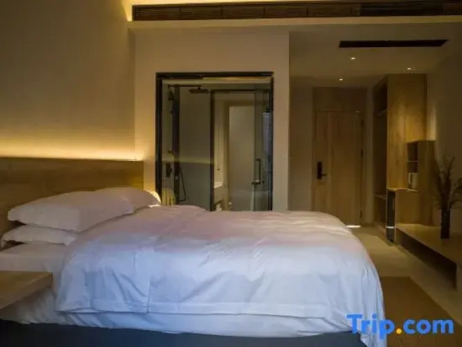 Standard Double room with courtyard view
