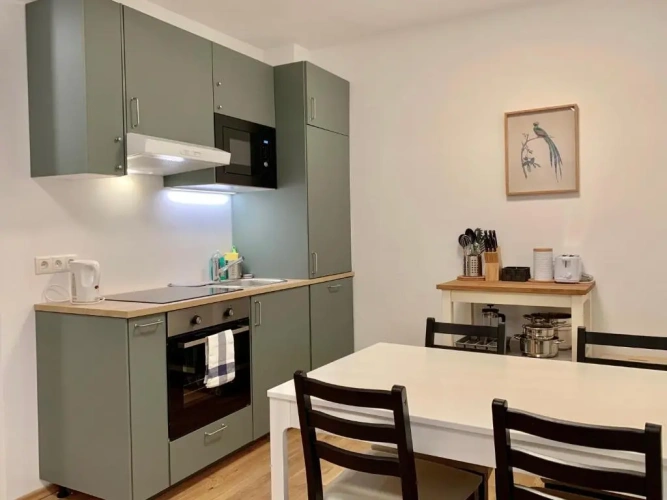 Deluxe Apartment