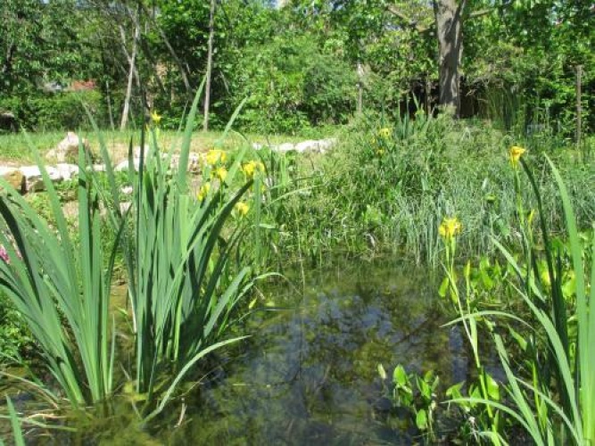 Ecologis du Vignoble