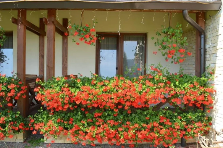 1 Bedroom Suite with balcony