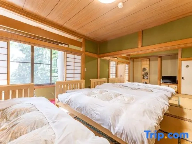 Standard room with mountain view