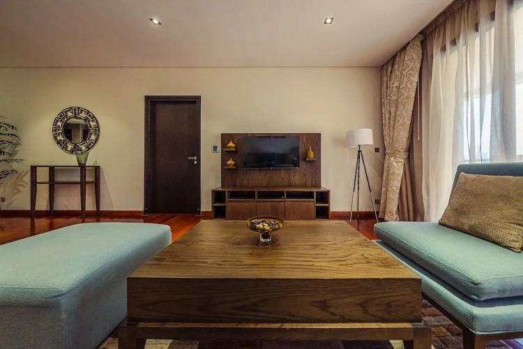 Luxury Apartment