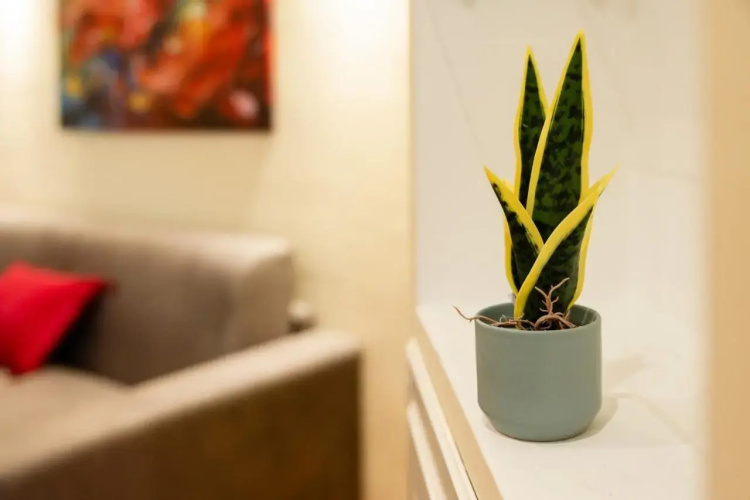SAVORELLI 54 Apartment
