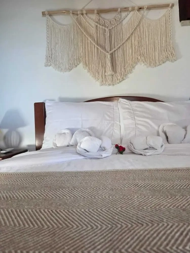 Deluxe Double room with balcony and beachfront