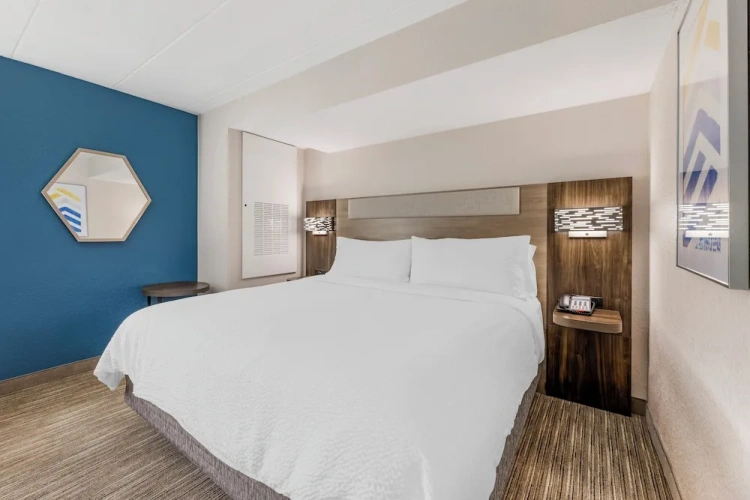 1 Bedroom Suite