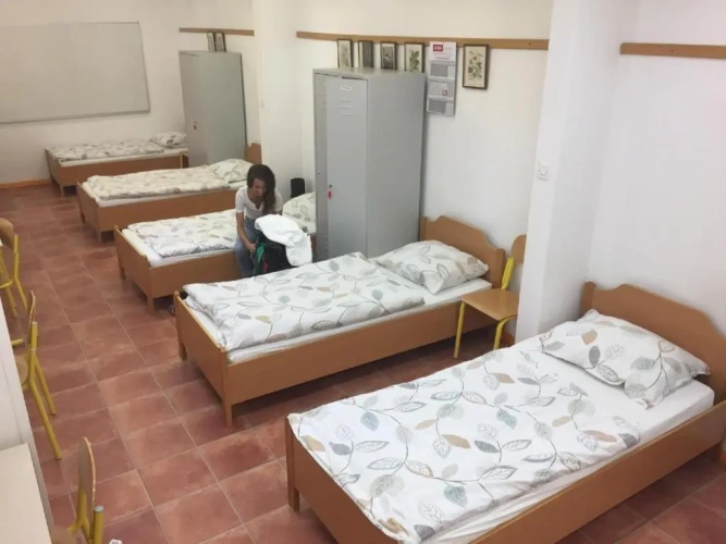 Bed in Dorm