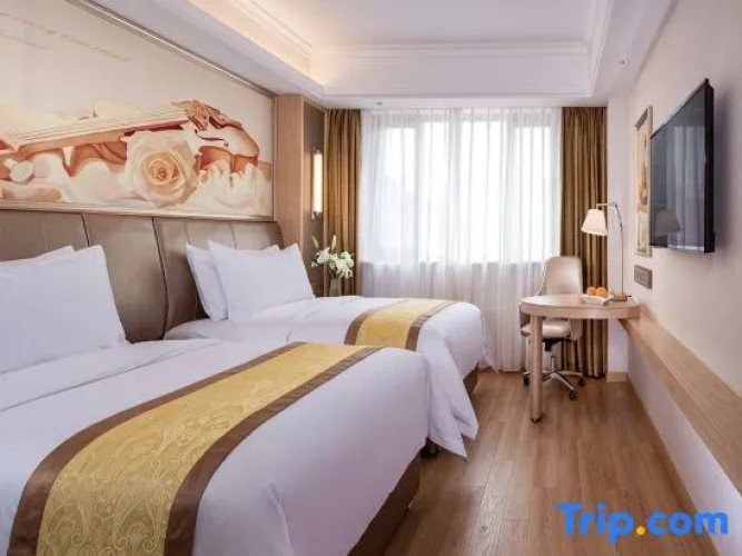 Deluxe Double room with street view