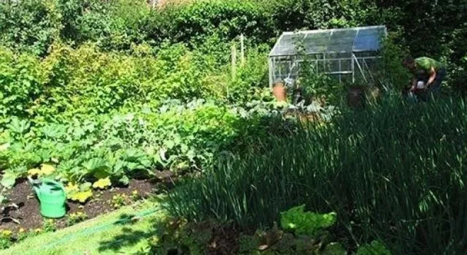 School Cottages BB Self-Catering
