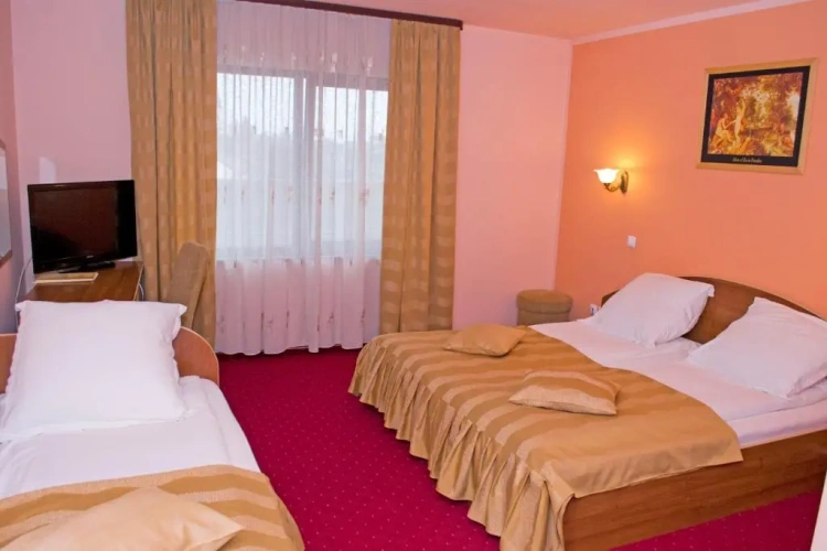 Standard Double room with balcony and with view