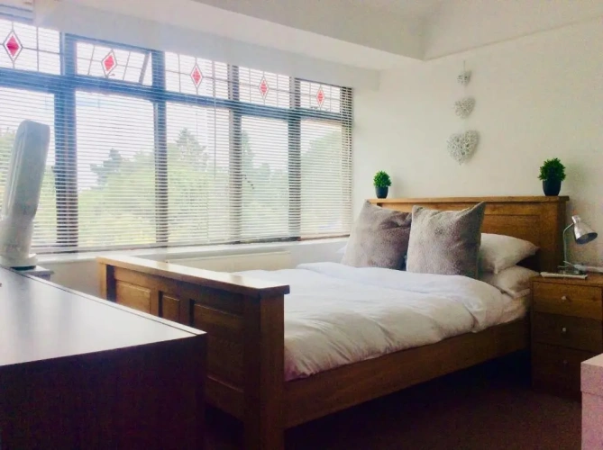 Deluxe Double room with garden view