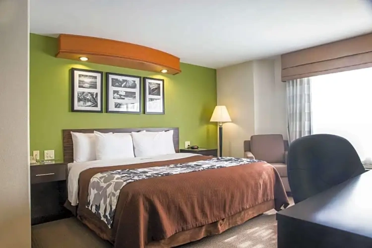 Quadruple Suite