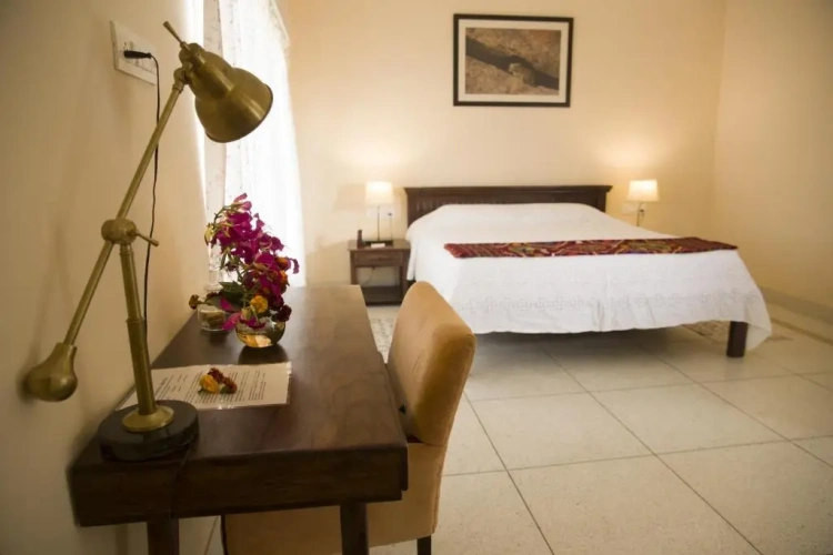 Standard room with view