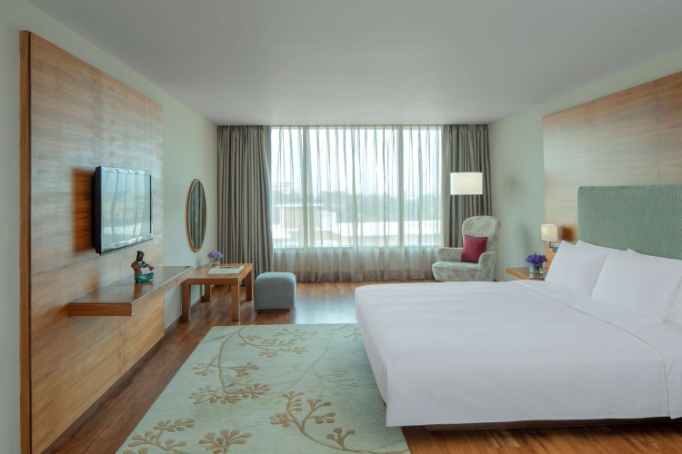 1 Bedroom Suite