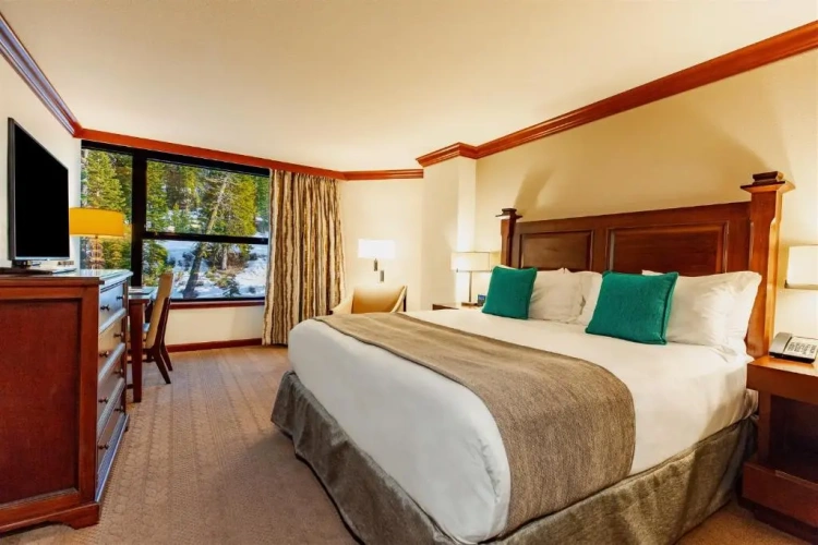 Deluxe Double room Forest View