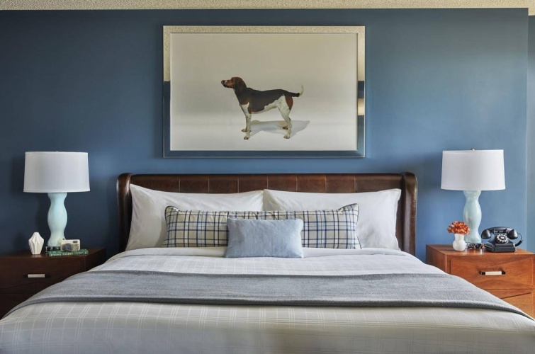Graduate by Hilton Richmond photo 9