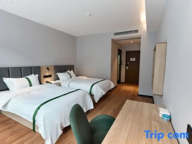 Standard Twin room with view