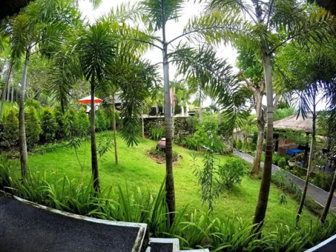 The Eyes Bali