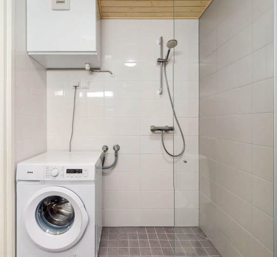 Apartment Scandinavia III