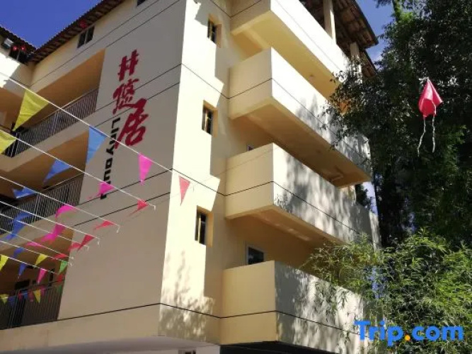 Shizhulinyoujubishushanzhuang