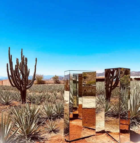Hotel Monte Agave
