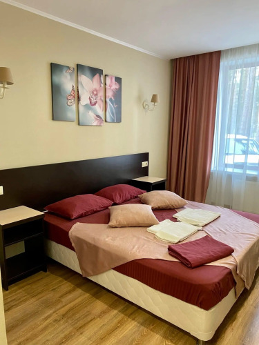 Фотография номера гостиницы Глобус