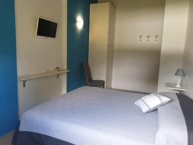 Standard Double room with garden view
