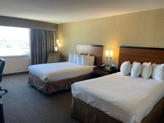 Wyndham Garden Hotel Philadelphia Airport photo 7