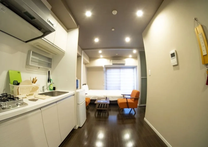 Deluxe Apartment