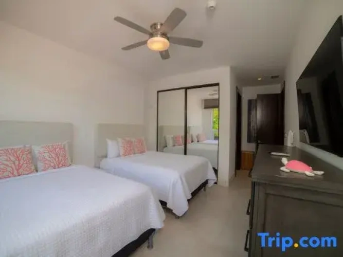 3 Bedrooms Apartment