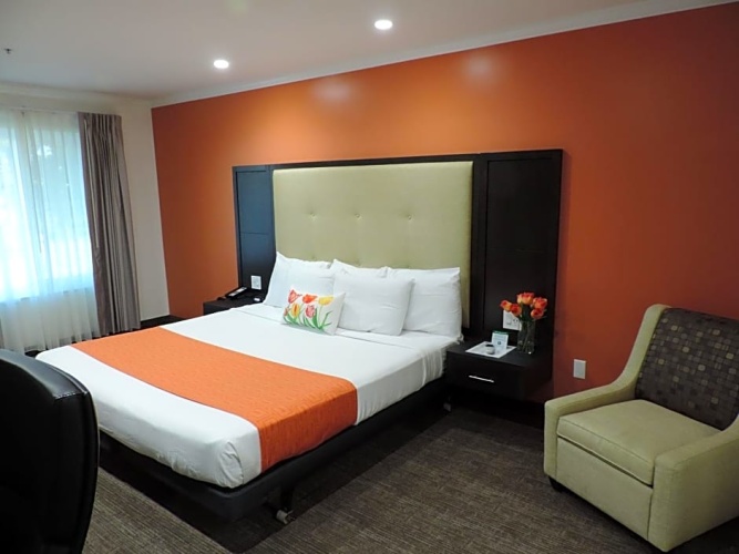 Standard Sextuple room