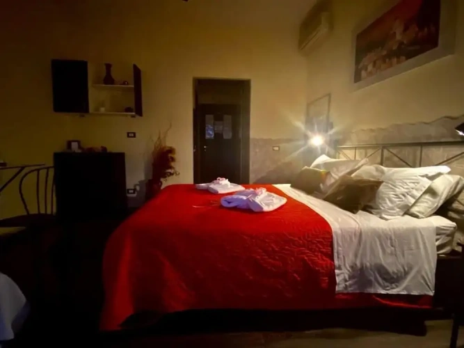 Superior Double room with balcony and with city view