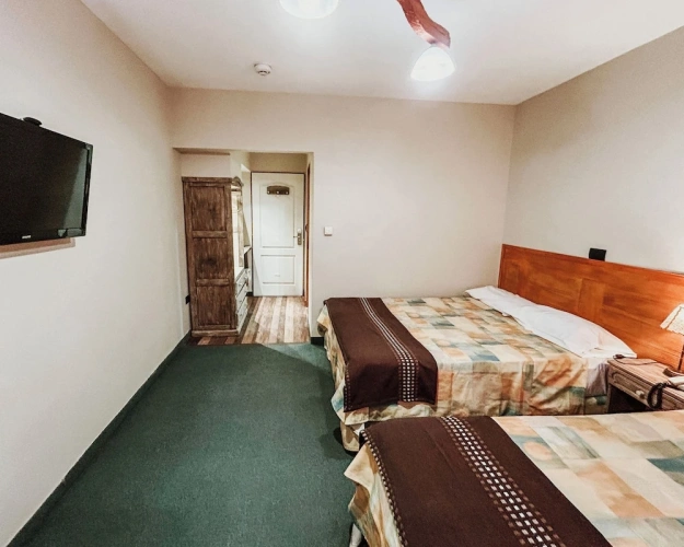Standard Twin room with garden view