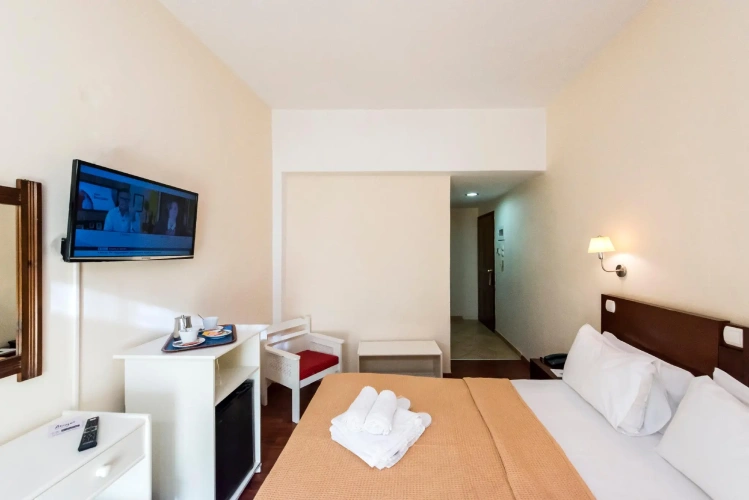 Standard Double room with mountain view