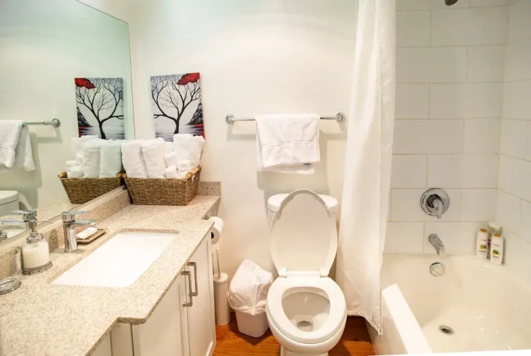 1 Bedroom Suite