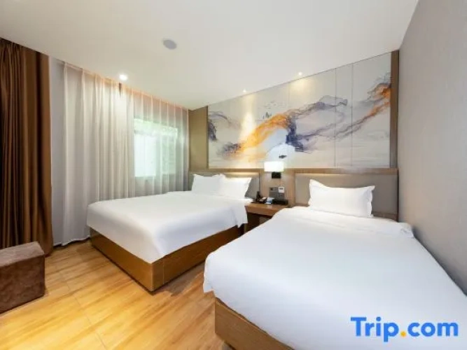 Standard Single Suite
