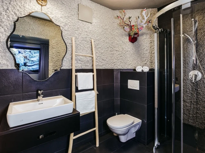 Deluxe Apartment with balcony