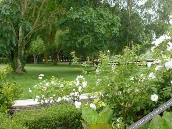 Willowlodge B & B