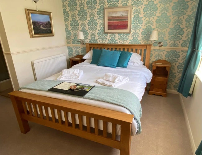 Standard Double room with view