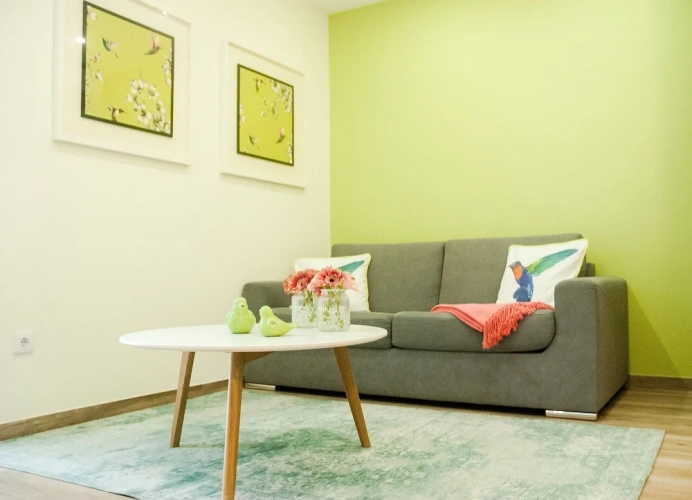 1 Bedroom Basement Apartment