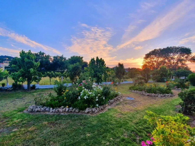 Deluxe Twin room with garden view